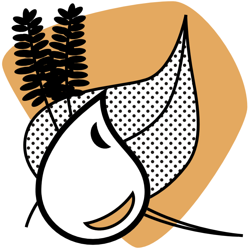 Grafik zeigt auf einer warmgelben abgerundeten Fläche zwei stilisierte Lavendelblüten und ein Blatt, davor ein Öltropfen.