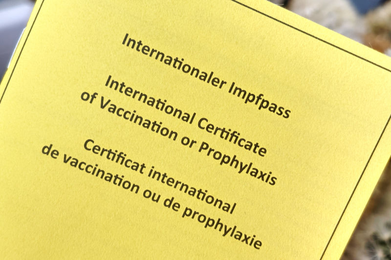 Ausschnitt der Vorderseite des Internationalen Impfpasses