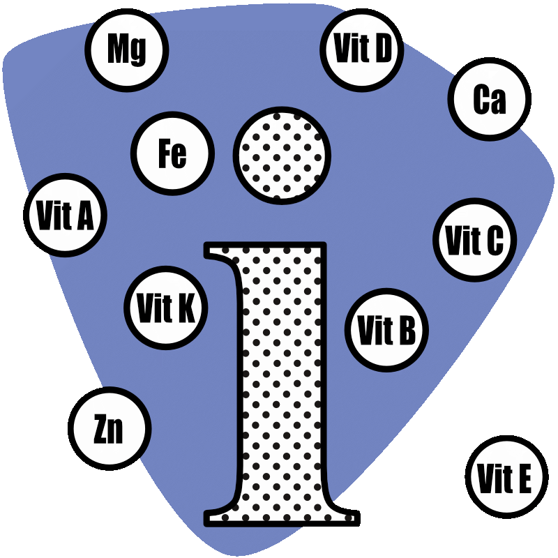 Grafik zeigt auf einer blauen, abgerundeten Fläche ein "i", umgeben von Kreisen mit Nennung der Vitamine A, B, C, D und E un einiger Mineralstoffe wie Eisen, Magnesium, Zink, Kalzium.