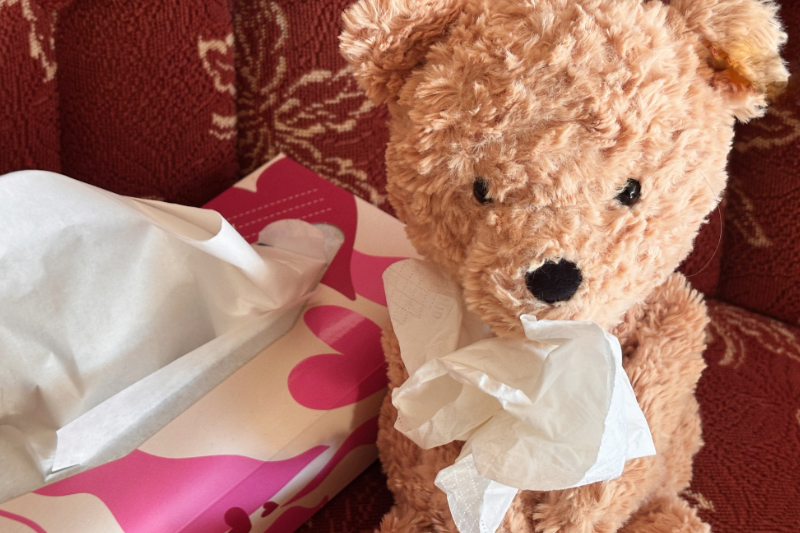 Teddy sitzt neben einer Box Taschentücher und schneutzt sich 
