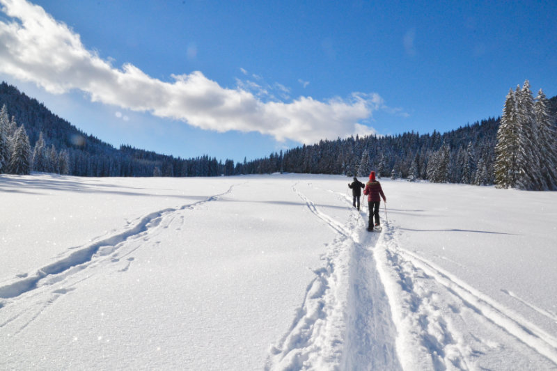 2 Schneeschuh-Wanderer gehen über ein tief verschneites Feld